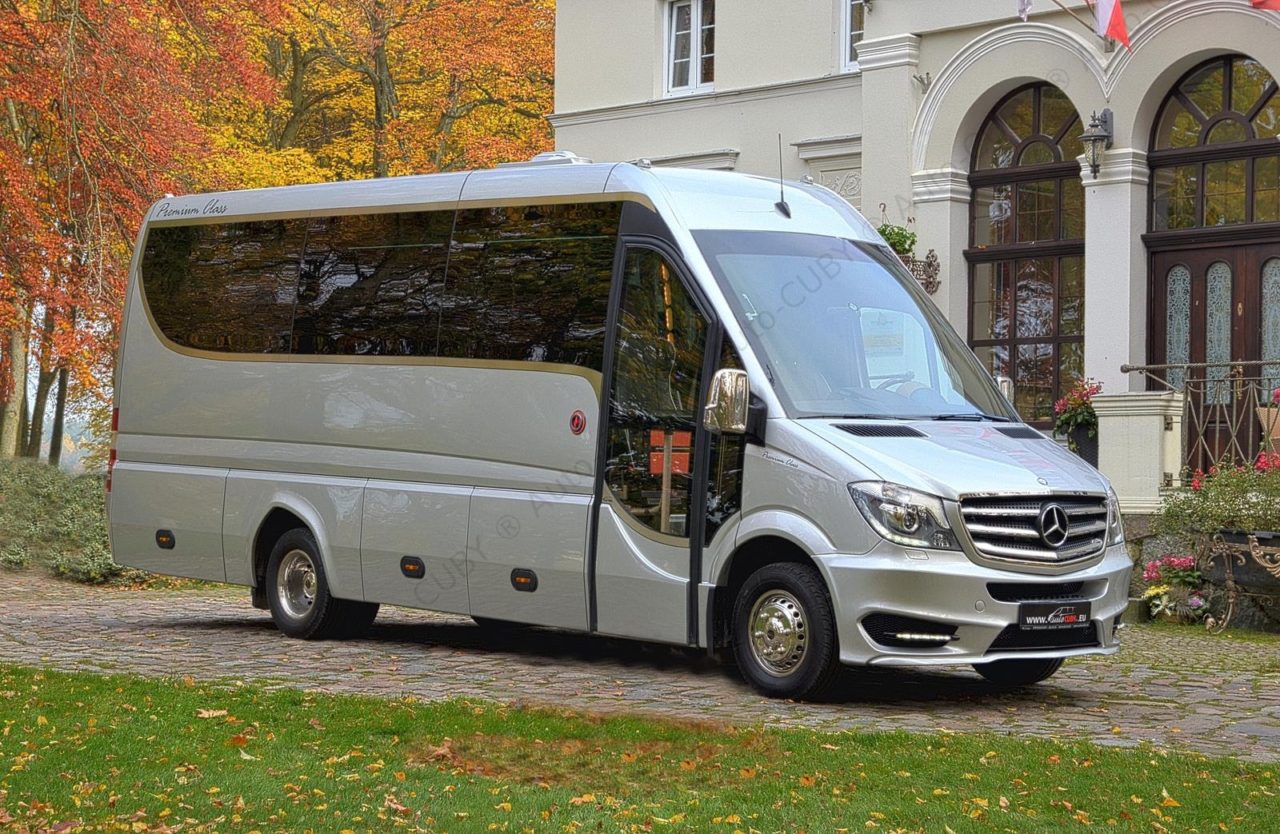 Sprinter CUBY Tourist Line HD No. 208